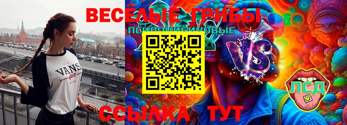 Галлюциногенные грибы GOLDEN TEACHER Миасс
