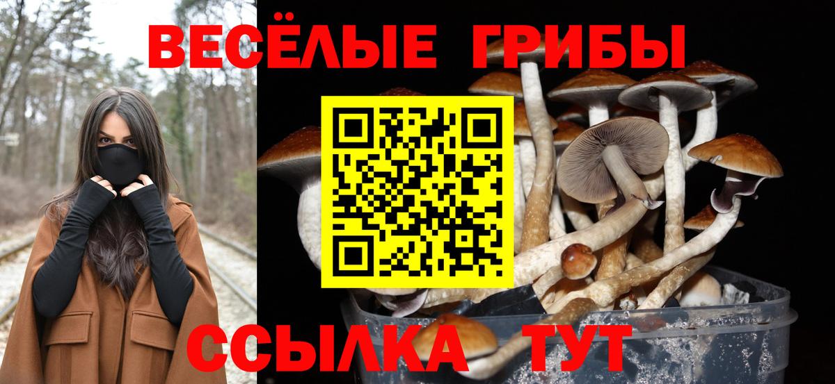 Псилоцибиновые грибы мухоморы  Галлюциногенные грибы Magic Shrooms  Миасс  Вход с VPN 